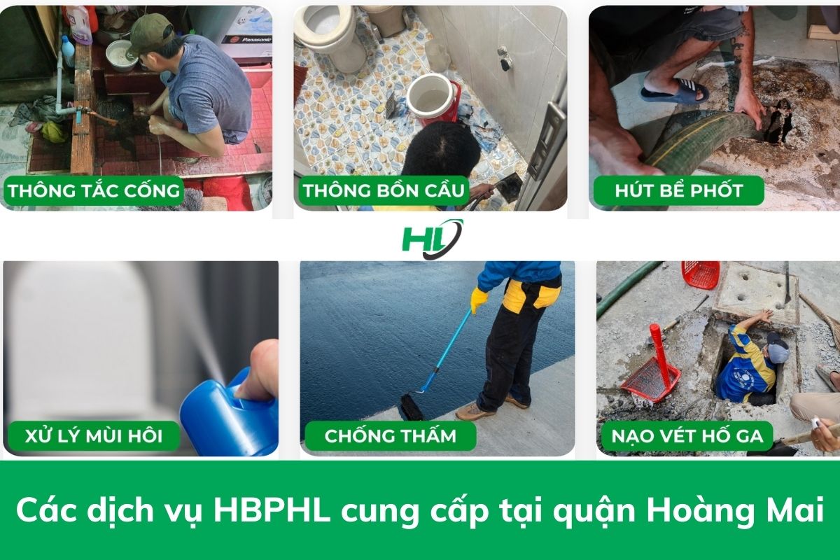 dịch vụ HBPHL cung cấp tại Hoàng Mai