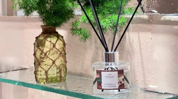 Giải pháp xử lý mùi hôi nhà vệ sinh