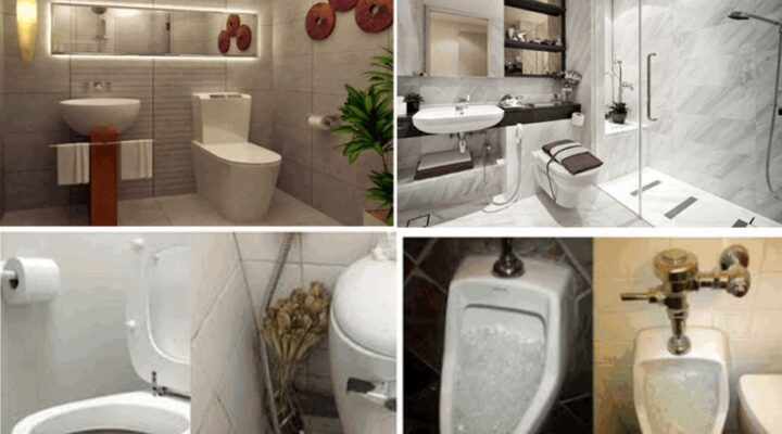 Giải pháp xử lý mùi hôi nhà vệ sinh