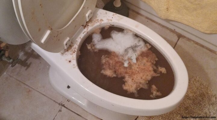 thông tắc bồn cầu Vĩnh Phú