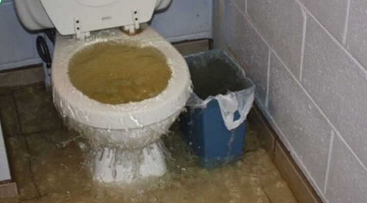 cống bị trào ngược nước thải